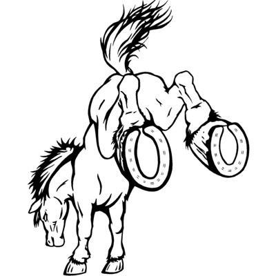 Bronco